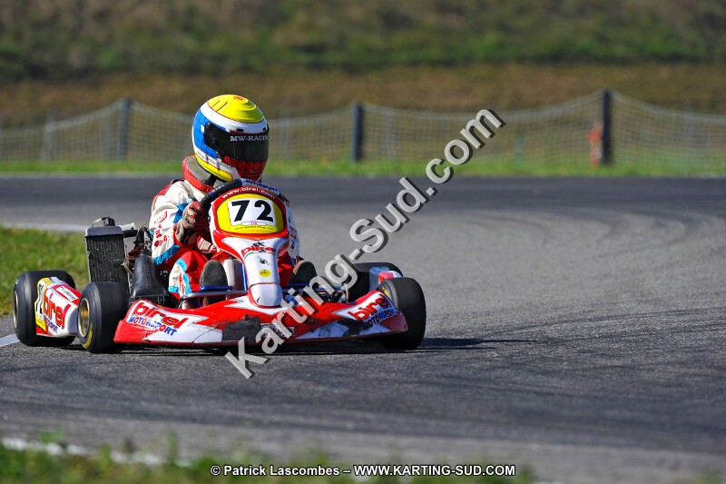 DSC_ (1663).jpg